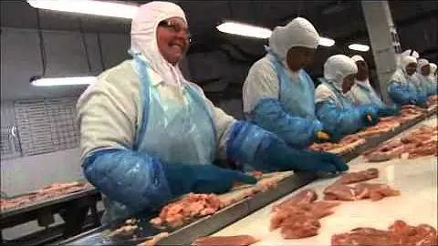 Qual o nome do profissional que trabalha na fábrica?
