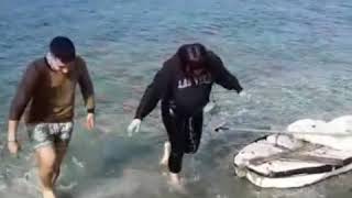 Sur de Chile isla quenu