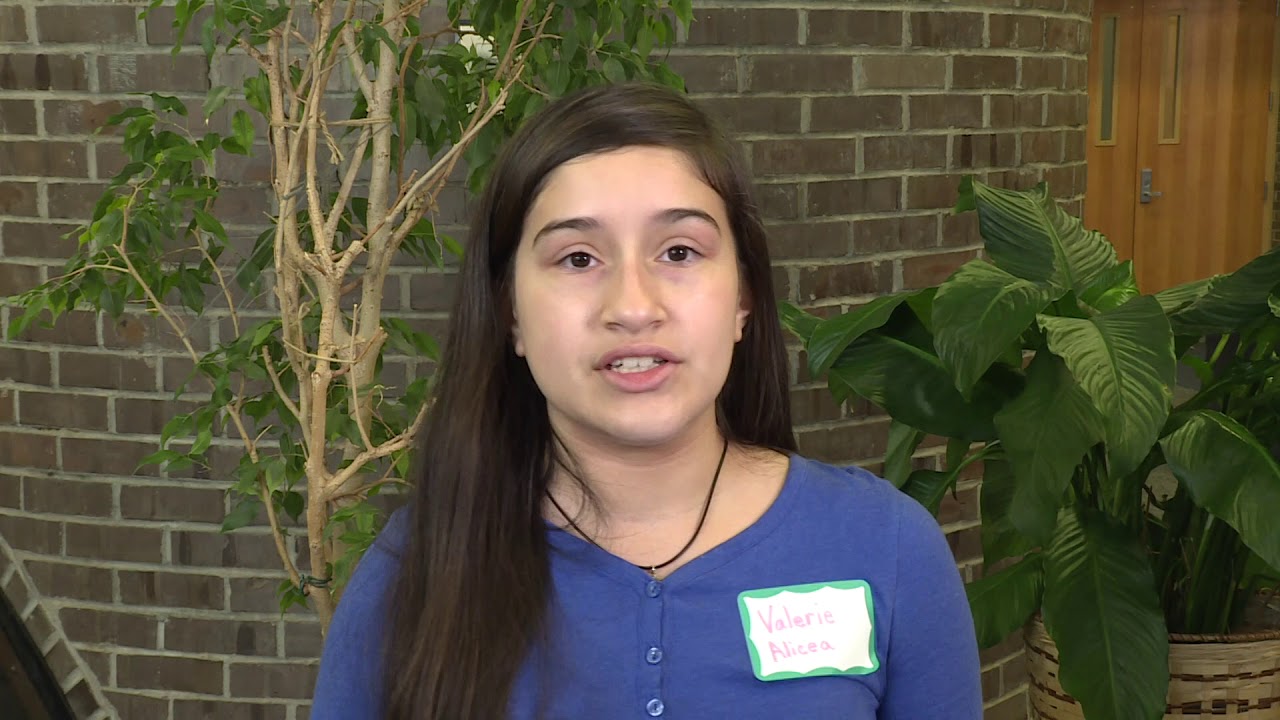 MOSAIC Project, June 2017 Ambassador Showcase, PS 27 Alfred E. Zampella School YouTube