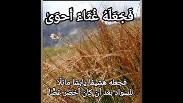 سورة الأعلي القاريء (محمد البراك)