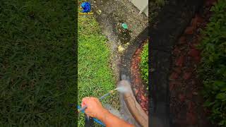 Flower Bed Edging🫧 Free Estimate 772-999-4343🌴 Serving Indian River and Brevard #pressurewashing