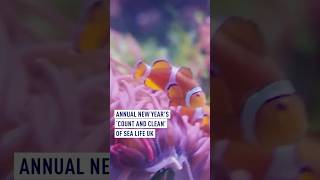 Aquariums Annual New Year Count And Clean