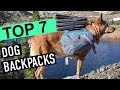 BEST DOG BACKPACKS! (2020)