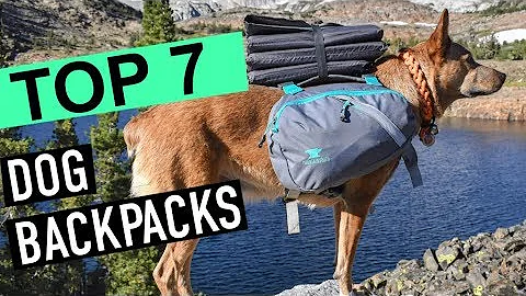 How do I teach my dog to use a backpack?