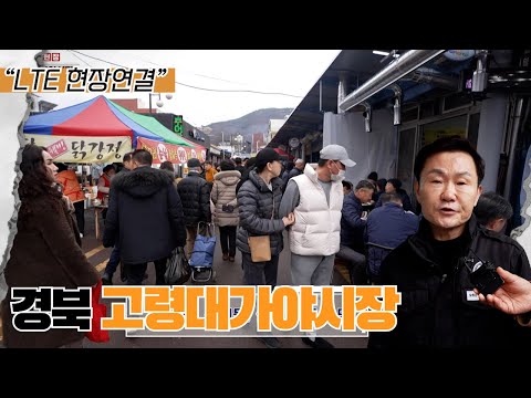 [📹LTE현장연결] “건어물과 쌀가게는 이곳에서!”🌾 고령군의 대표 전통시장🤩 없는 게 없는 고령대가야시장