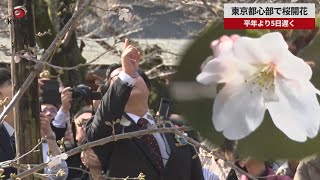 【速報】東京都心部で桜開花 平年より5日遅く