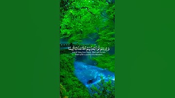 فإن يتوبوا يكن خيرا لهم🌿ما تيسر من سورة التوبة🌿للقارئ احمد خضر 🌿 #quran