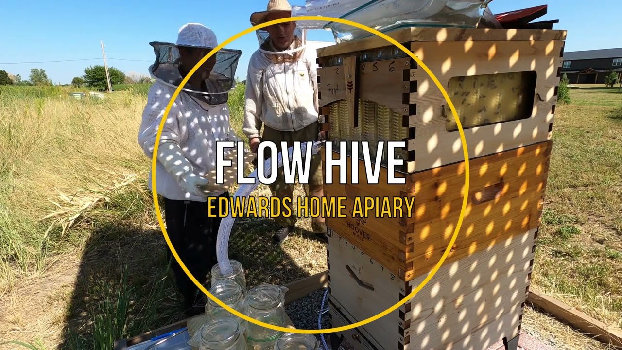 Inaugural Flow Hive Honey Release