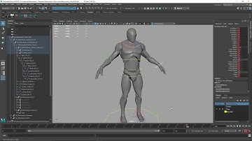 21 Range of Motion Animation B