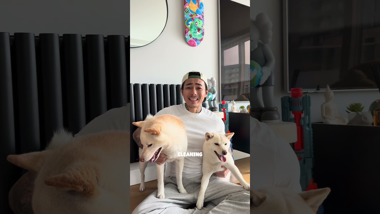 I can&rsquo;t imagine having 5 baby Youpi&rsquo;s in my flat #london #shiba #shibainu #dog #pet