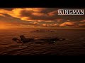 Project Wingman Mission 19 - Red Sea (Mercenary Revisited)