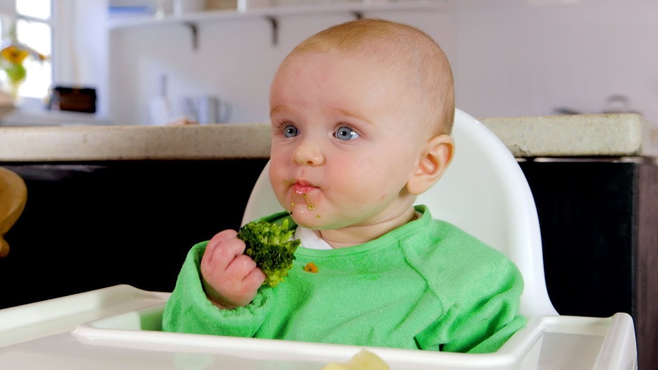 What is Baby-Led Weaning? - Birth to Two - Parents - Twinkl
