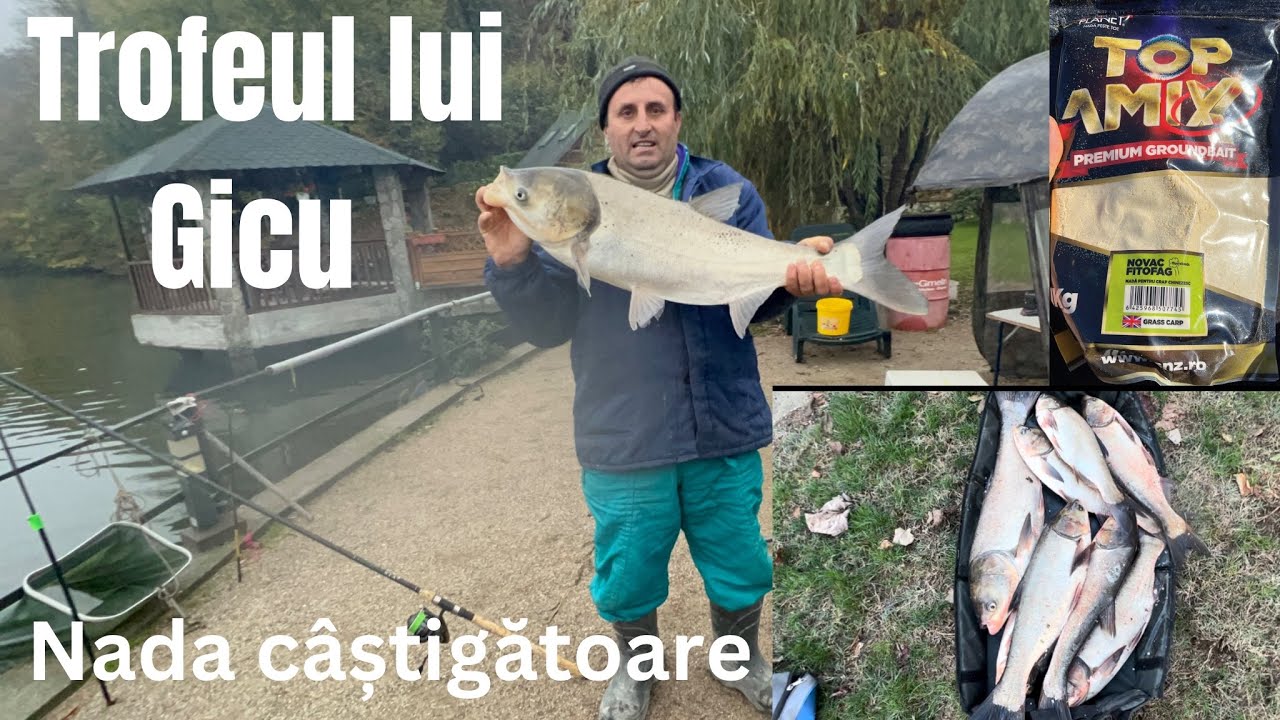 LUPTA cu CHINEZII !!! 💪🏻  LOCAȚIA in privat. Pescuit la fitofag pe Dunăre cu montură simplă