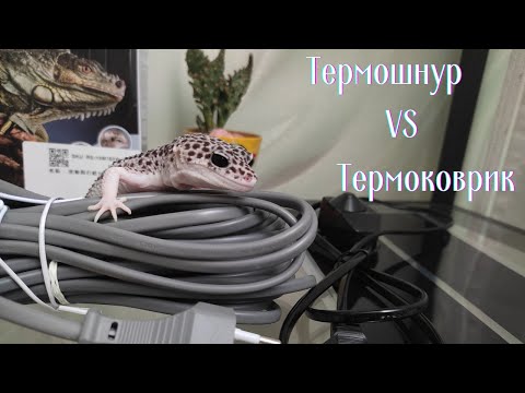 Эублефар | Обогрев террариума | Термошнур или термоковрик