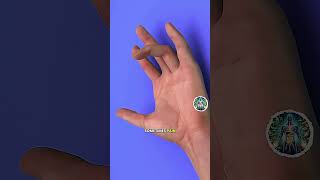 Inside Trigger Finger Release 🤯 3D Animation