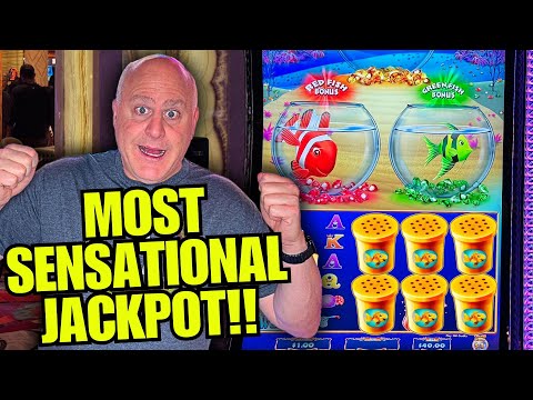 I DIDN’T SEE THAT COMING!!!