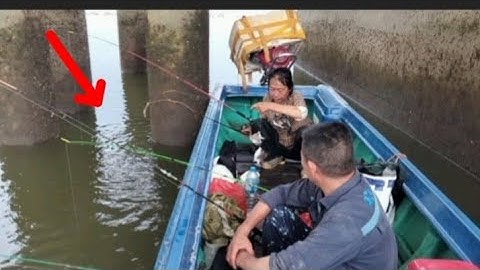 Trúng Bầy cá Nâu To || ẩn Dưới Chân Trụ Cầu Cao Tốc  || Toàn Hàng Khủng