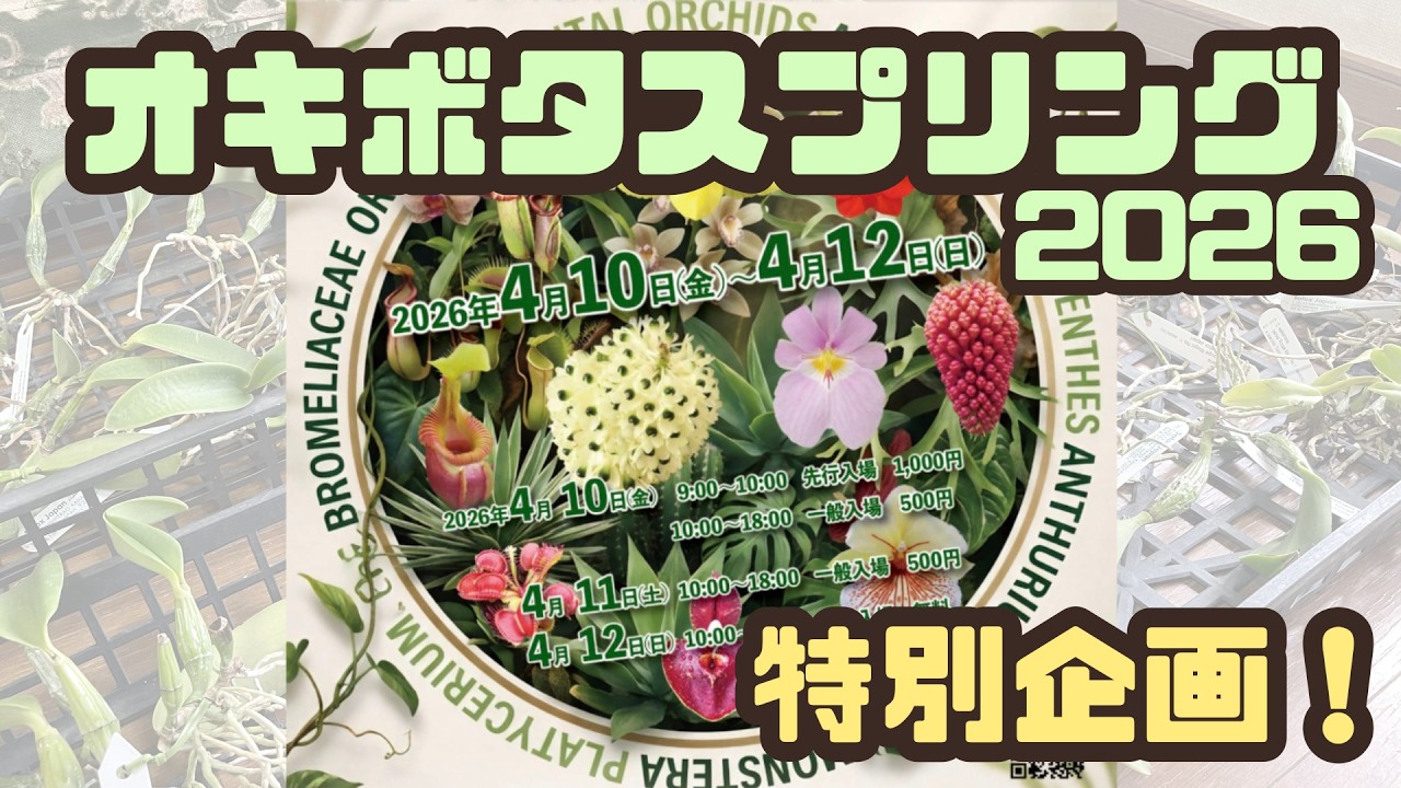 オキボタスプリング2026②】特別企画！ - YouTube