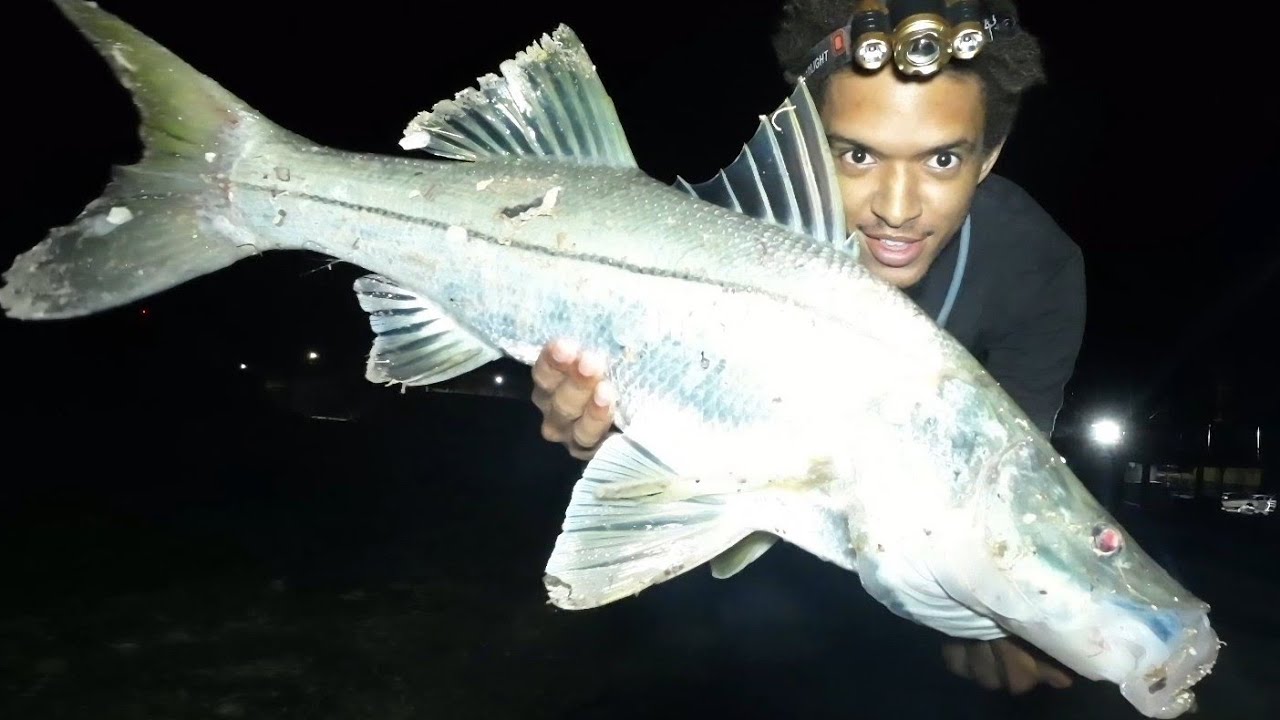 КРУПНАЯ ПРИМАНКА = КРУПНЫЙ СНУК • Рыбалка на Ямайке