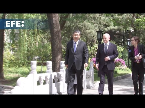 Xi pide a Scholz desarrollar los lazos bilaterales "desde una perspectiva estratégica"