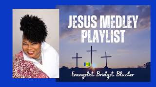 Medley Playlist - Bridget Blucher