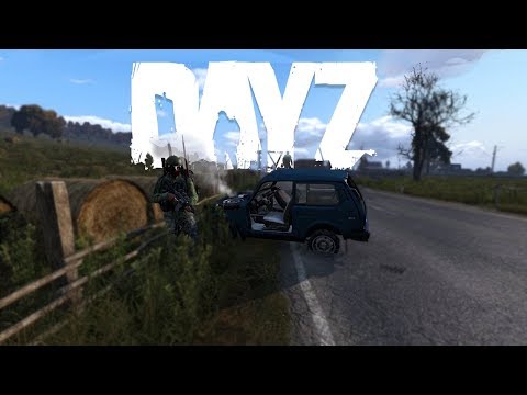 My DayZ BETA Experience