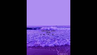 - Se Misca Brr Brr Slowedreverbeditversion Lente