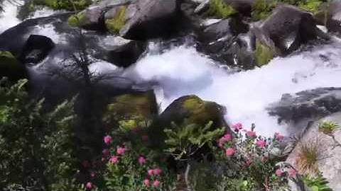 تلاوه هادئه وجميله بصوت القارئ خالد البوصافي