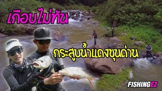 เกือบไม่ทัน กระสูบน้ำแดง by fishingez