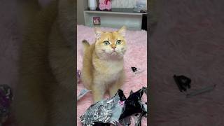 Nika Almost Lost Her Best Friend