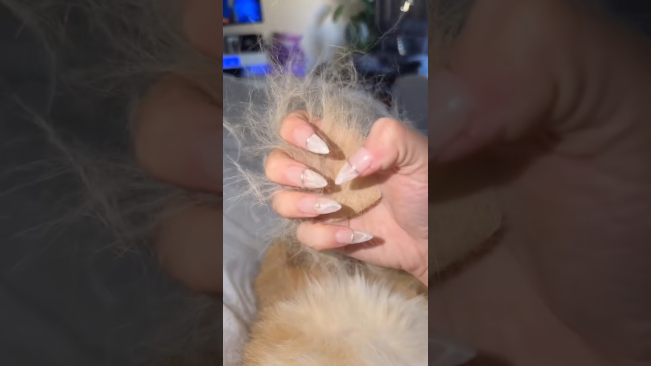 NEW NAILS WHO DIS