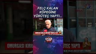 Felç Kalan Köpeğine Yürüteç Yaptı...