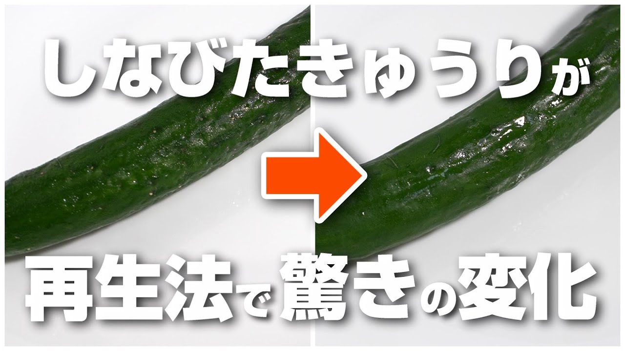 改訂版」しなびたきゅうりが本当に元通りになるの？、きゅうりの再生法