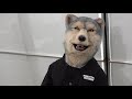 ジャン・ケン・ジョニーのいきなり手料理!!幻のジャンケン焼き