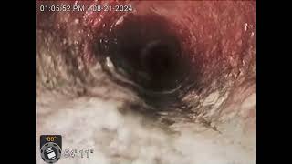 Sequoia Dr- AFTER hydro jetter