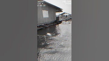 Câu cá tra sông lên hàng khủng #camr1 #fishing #camr2 #carpfishing #camr3 #fish #catrasong #caucatra