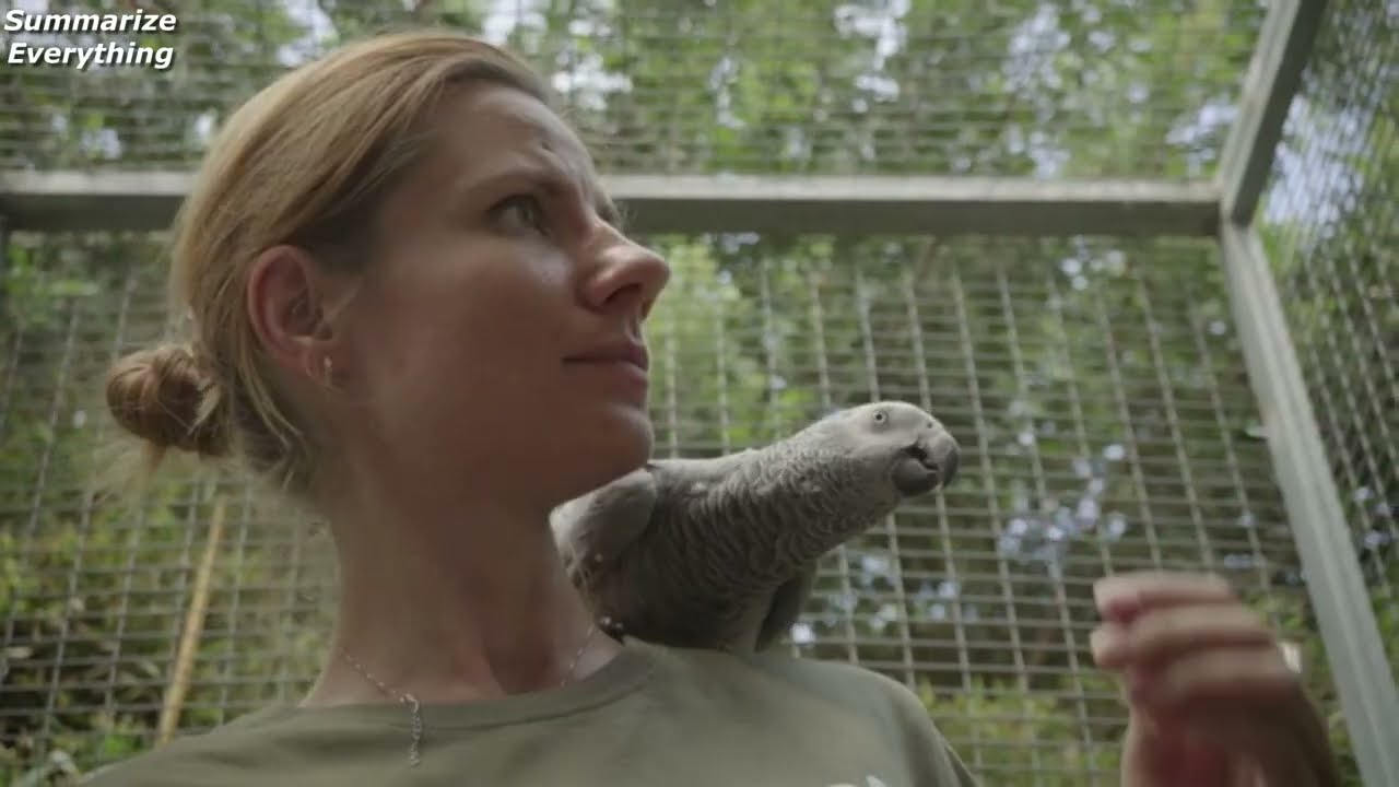 The Hidden Lives of Pets S1 Ep1 (Intelligence) Sum-up