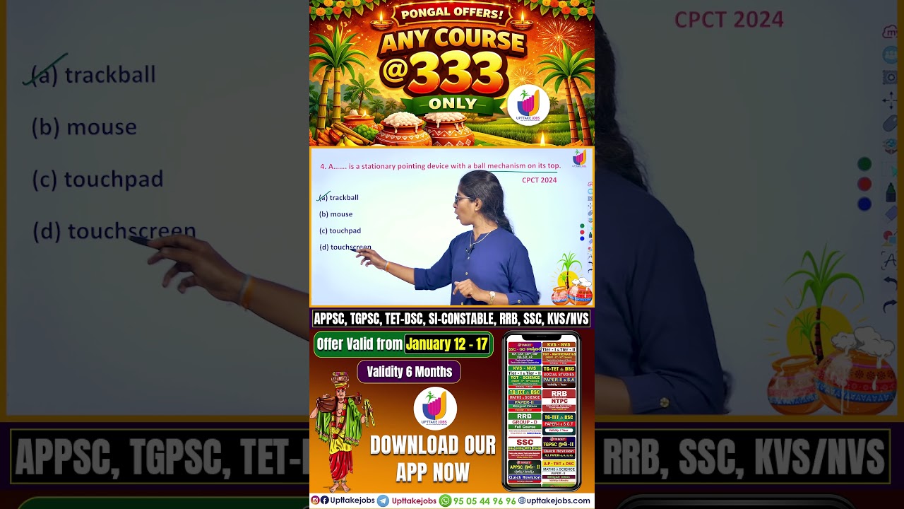 which is a stationary pointing device with a ball mechanism on its top 