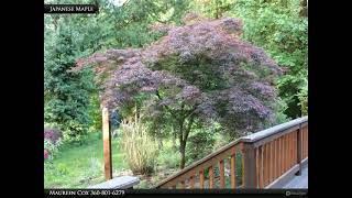 Homes for Sale - 17003 E. State Rt 3, Allyn, WA Homes for Sale - 17003 E. State Rt 3, Allyn, WA