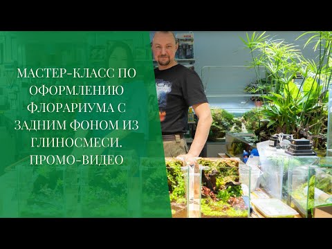 Video: Florarium - grădina dvs. tropicală personală
