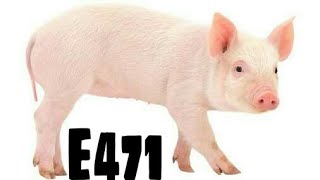 Don't Eat Food In Which E471 Code Has Been Used.