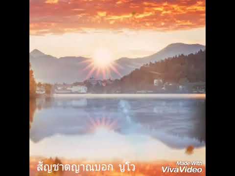 สัญชาตญาณบอก - นูโว