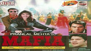 दुनिया नज़रो ना गुलो का खिलना अच्छा लगता है सिर्फ तुमसे मिलना/KUMAR SANU,ALKA/SAMEER/ANAND MILIND/MAF