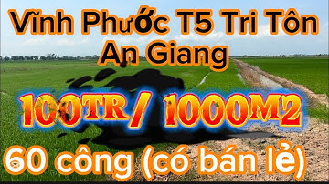Tập 286 Ruộng Vĩnh Phước Tri Tôn An Giang (30 công)
