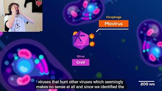 xQc reacts to This Virus Shouldn't Exist (But it Does) | Kurzgesagt
