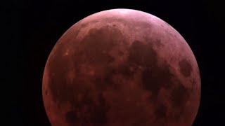 I Captured the Blood Moon Lunar Eclipse with My Seestar S50!