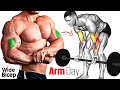 How to Build Big Biceps Fast / GYM Exercise