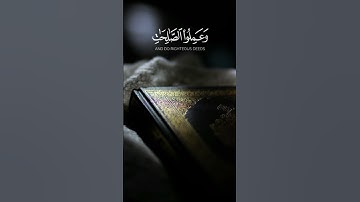 والتين والزيتون||#سورة_التين #ماهر_المعيقلي #القرآن_الكريم #راحة_نفسية