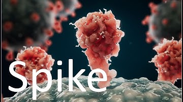 Vernietiging van lichaamscellen