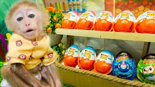 Baby Monkey And Puppy Go To Supermarket And Egg Store And Eat Chocolate With Puppy